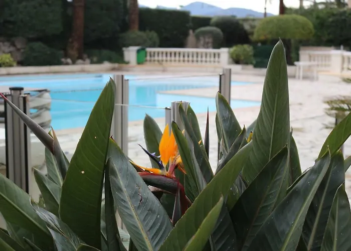 Appartement Palm D\'Azur